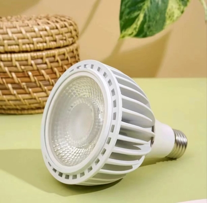 LED 플랜트 성장 조명 20W LEDPAR30 85V-265V 입력 전압 및 기타 기본 유형