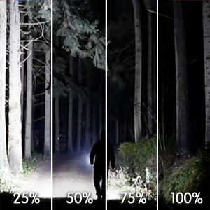 비상 유지보수 검사 2600 루멘 LED 하우드 작업등 검사등