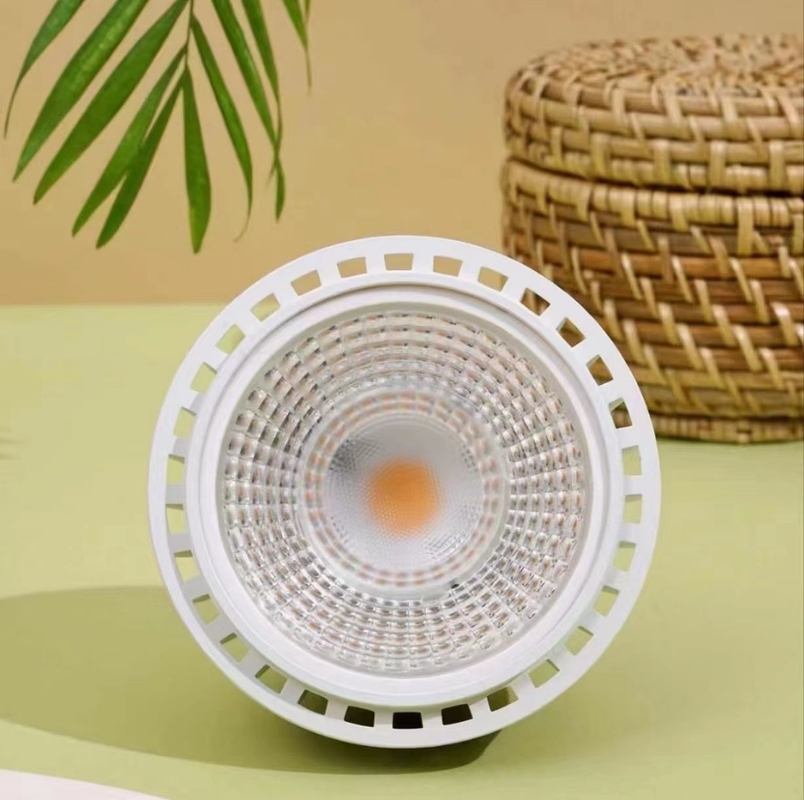 LED 플랜트 성장 조명 20W LEDPAR30 85V-265V 입력 전압 및 기타 기본 유형